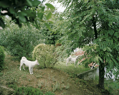 Laurence Bonvin: Ulus, Istanbul, 2005, aus der Serie: On the Edges of Paradise, 2005/06
© Laurence Bonvin