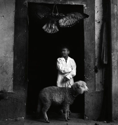 © Debbie Fleming Caffery