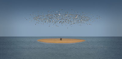 Chi Peng: 