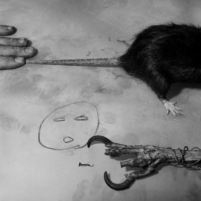 © Roger BallenPredators, 2007from Boarding HouseSilver gelatin on fibre paper45 x 45cm, edition of 10