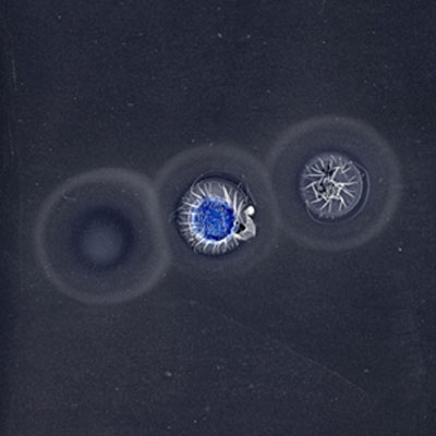 © Sonne 106, 120 x 120 cm, 2009