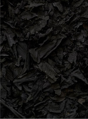 Redox #18, 2010, C-print, 89 x 69 cm, Ed. 3+1