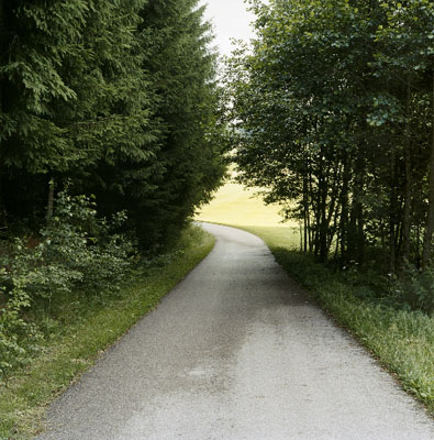 Bernhard Fuchs "G&uuml;terweg, Dobring", 2005