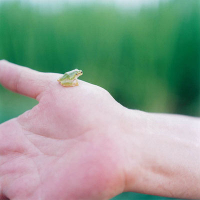 Rinko Kawauchi, Untitled, 2009©Rinko Kawauchi, courtesy Galerie Priska Pasquer, Cologne