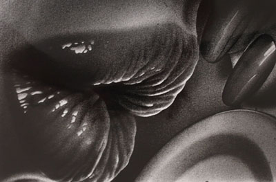 Daido Moriyama Letter to Myself 1, 1988 Vintage silver gelatin print 12x10”