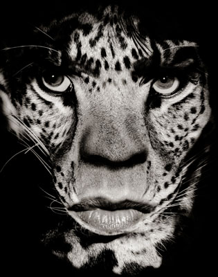 Albert Watson, Mick Jagger, Los Angeles, 1992, Vintage Watson, courtesy of Hamiltons