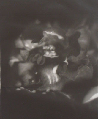 Fiona PardingtonRose Red Meets Prince CharmingSilver Gelatin Print430 x 560 mm1994
