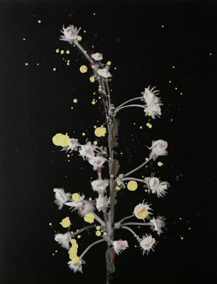 © Nanna Hänninen.