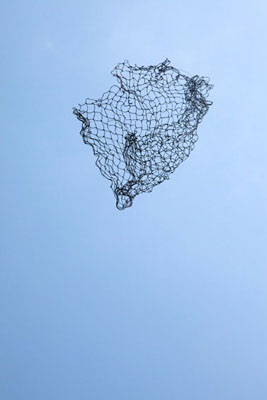 Anne FerranVelvet-faced Crow, 2011series: Songbirds are everywhere, 2011Pigment print100 x 66cmedition of 5 + 2 AP