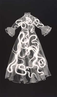 Medusa, from the series Home and the World, 2010,Gelatin silver print photogram,240 x 144,1 cm,Edition of 9, Unique print,Courtesy Timothy Taylor Gallery, London &copy; Adam Fuss