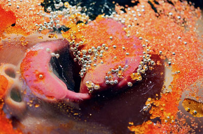 Video-still by Marilyn Minter, from Green Pink Caviar, 2009