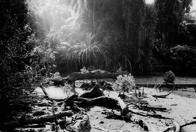 Andreas DeffnerANDAMAN # 27Print auf Museum SilverGloss White Paper80 x 120 cm