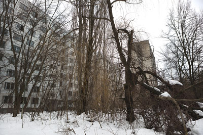 Merilyn Fairskye, Apartments,80x 120cm, series: Plant Life (Chernobyl), 2011pigment prints, editions of 5© Merilyn Fairskye