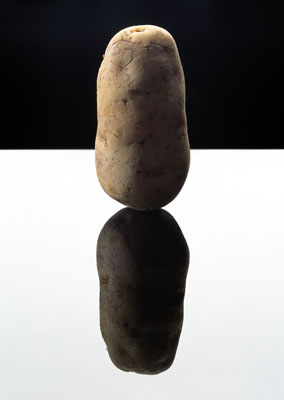 Potato, 2003 © Anuschka Blommers en Niels Schumm