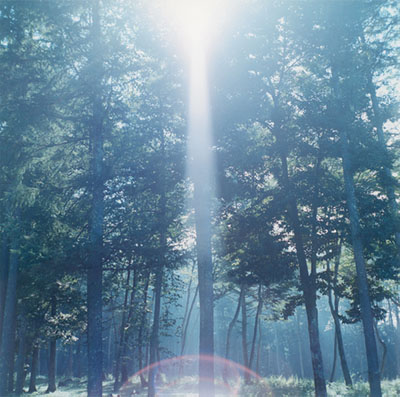 Rinko KawauchiUntitled, from the series of 