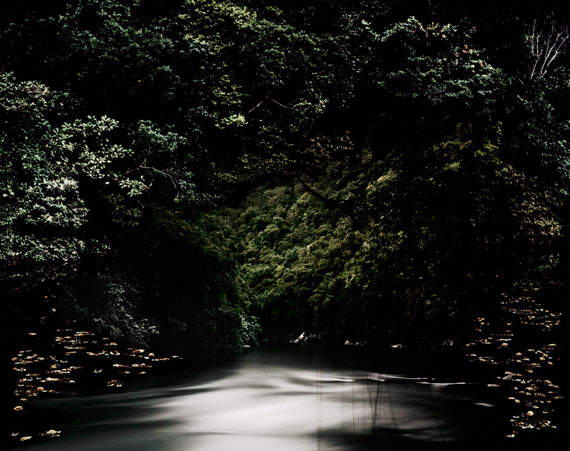 Caio ReisewitzSucupir, 2011c-print, dia sec180 x 227 cm