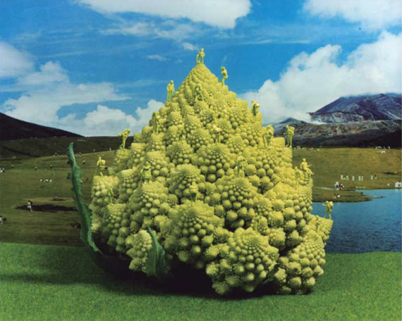 Romanesco Climbing 2008 © Yumiko Utsu