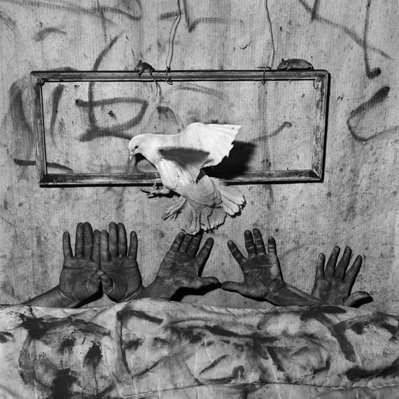 © Roger Ballen, Five Hands