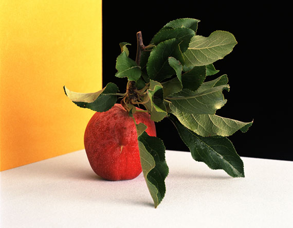 &copy; Shirana Shahbazi. [Frucht-07-2009]