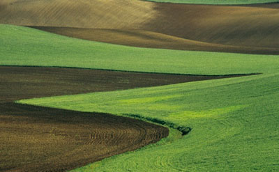 © Franco Fontana. Basilicata, 1987