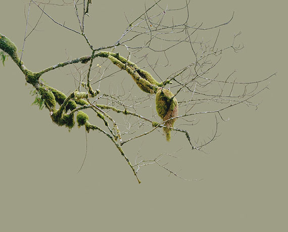 Sabine Schründer: aus: intrude (into) | 2007 | Pigmentdruck auf Dibond, gerahmt | 150x185 cm