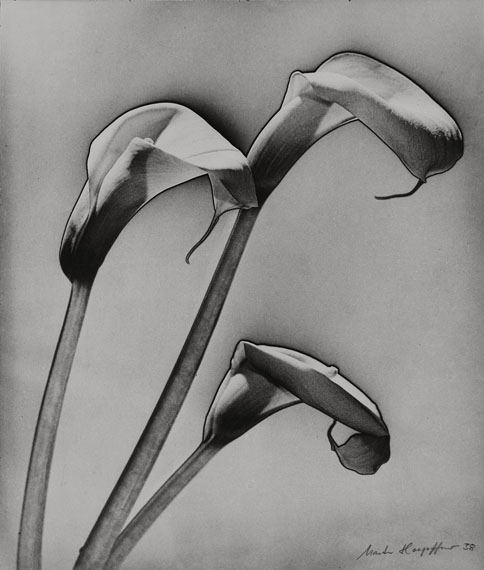 Marta HoepffnerKalla, 1938&copy; estate Marta Hoepffner