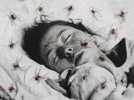 © Paula Muhr