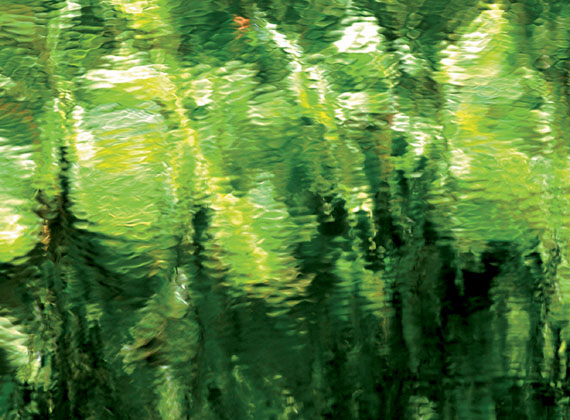 Corinna Rosteck, greenlight, 2011, Chromira pearl auf Aludibond, 1/3, 90 x 130 cm
